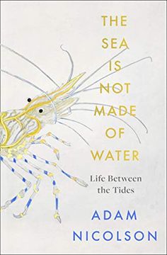portada The sea is not Made of Water: Life Between the Tides 