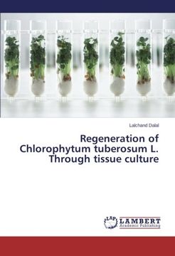 portada Regeneration of Chlorophytum tuberosum L. Through tissue culture