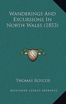 portada wanderings and excursions in north wales (1853) (in English)