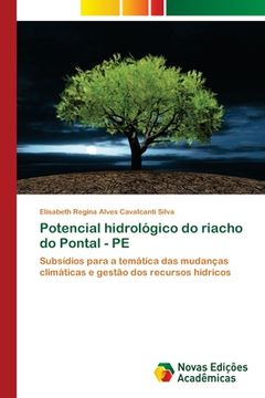 portada Potencial Hidrológico do Riacho do Pontal - pe (in Portuguese)