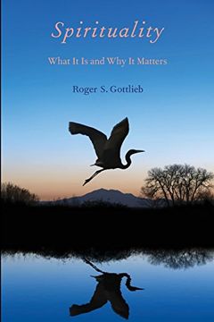 portada Spirituality: What it is and why it Matters (en Inglés)