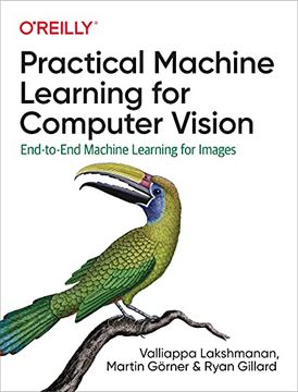 portada Practical Machine Learning for Computer Vision: End-To-End Machine Learning for Images (en Inglés)