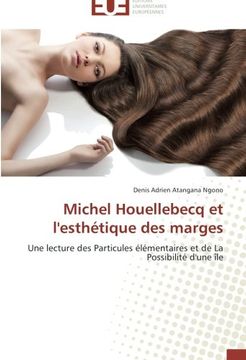 portada Michel Houellebecq Et L'Esthetique Des Marges