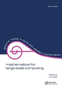 portada Mathematics for Large Scale Computing (Lecture Notes in Pure and Applied Mathematics) 