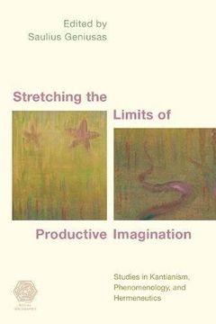 portada Stretching The Limits Of Productive Imagination (en Inglés)