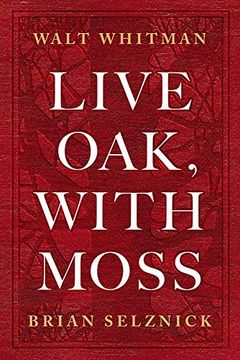 portada Live oak With Moss 