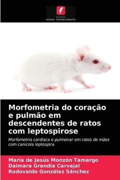 portada Morfometria do Coração e Pulmão em Descendentes de Ratos com Leptospirose: Morfometria Cardíaca e Pulmonar em Ratos de Mães com Canicola Leptospira (en Portugués)
