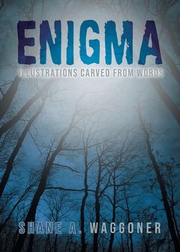 portada Enigma: Illustrations Carved From Words (en Inglés)
