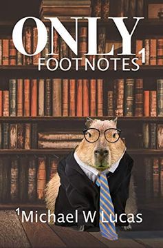 portada Only Footnotes (in English)