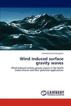 portada wind induced surface gravity waves (en Inglés)
