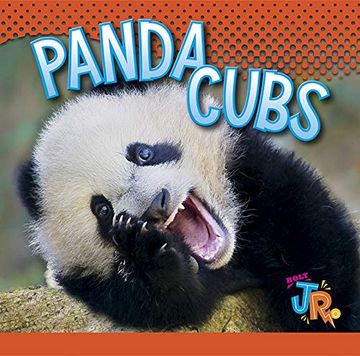 portada Panda Cubs (Baby Animals) (en Inglés)