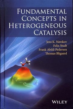 Fundamental Concepts in Heterogeneous Catalysis (en Inglés)