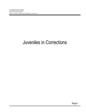 portada Juveniles in Corrections (en Inglés)
