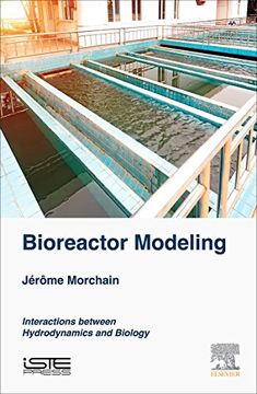 portada Bioreactor Modeling: Interactions Between Hydrodynamics and Biology (en Inglés)