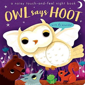 portada Owl Says Hoot: A Noisy Touch-And-Feel Night Book (Noisy Touch-And-Feel Books) (in English)
