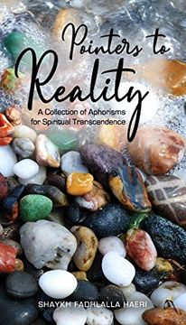 portada Pointers to Reality: A Collection of Aphorisms for Spiritual Transcendence (en Inglés)