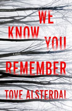 portada We Know you Remember: 1 (The High Coast) (in English)