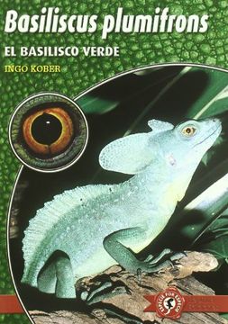 portada basiliscus plumifrons : el basilisco verde
