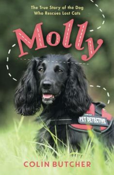 portada Molly: The True Story of the dog who Rescues Lost Cats (en Inglés)