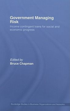 portada Government Managing Risk (Routledge Studies in Business Organizations and Networks) (in English)