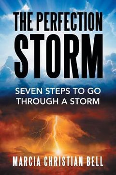 portada The Perfection Storm: Seven Steps to Go Through a Storm (in English)