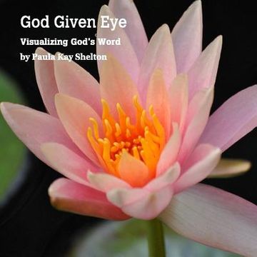 portada God Given Eye: Visualizing God's Word (en Inglés)