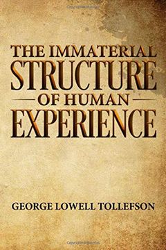 portada The Immaterial Structure of Human Experience (en Inglés)