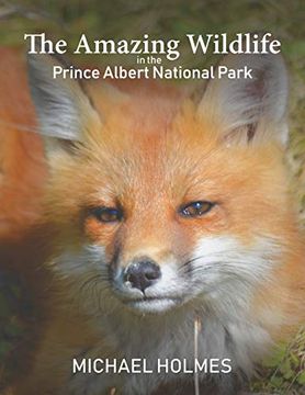 portada The Amazing Wildlife in the Prince Albert National Park (in English)