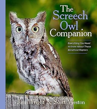 portada The Screech owl Companion: Everything you Need to Know About These Beneficial Raptors (in English)