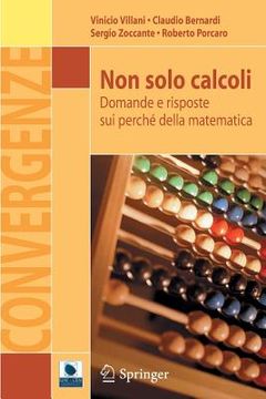 portada Non Solo Calcoli: Domande E Risposte Sui Perché Della Matematica (in Italian)