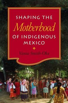 portada shaping the motherhood of indigenous mexico (en Inglés)