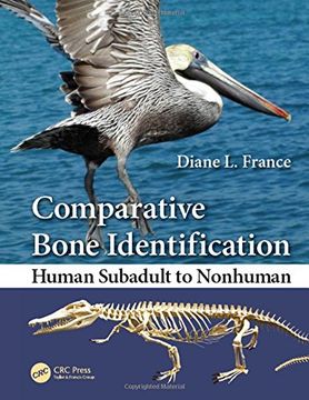 portada Comparative Bone Identification: Human Subadult to Nonhuman