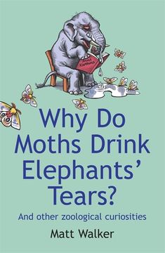 portada Why do Moths Drink Elephants' Tears? And Other Zoological Curiosities (in English)