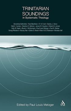 portada trinitarian soundings in systematic theology