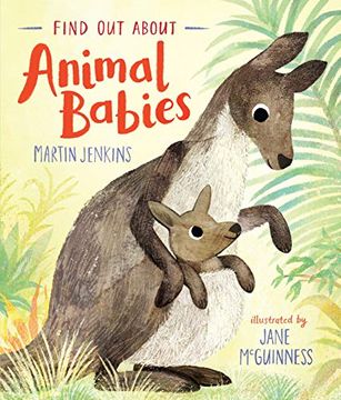 portada Find out About. Animal Babies (en Inglés)
