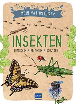 portada Mein Naturführer - Insekten (en Alemán)