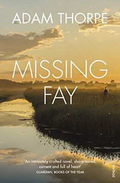 portada Missing Fay
