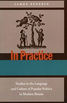 portada In Practice: Studies in the Language and Culture of Popular Politics in Modern Britain 