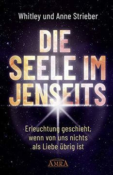 portada Die Seele im Jenseits (en Alemán)