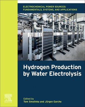 portada Electrochemical Power Sources: Fundamentals, Systems, and Applications: Hydrogen Production by Water Electrolysis (en Inglés)
