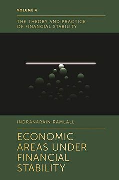 portada Economic Areas Under Financial Stability (The Theory and Practice of Financial Stability, 4) (en Inglés)