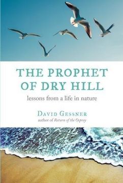 portada The Prophet of dry Hill (in English)