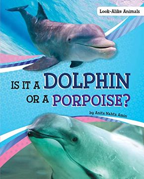 portada Is it a Dolphin or a Porpoise? (Look-Alike Animals) (en Inglés)