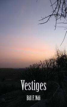 portada Vestiges (in English)