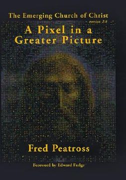 portada a pixel in a greater picture: the emerging church of christ version 2.0 (en Inglés)