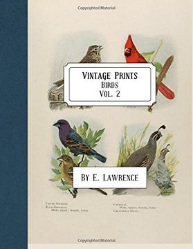 portada Vintage Prints: Birds: Vol. 2 (en Inglés)