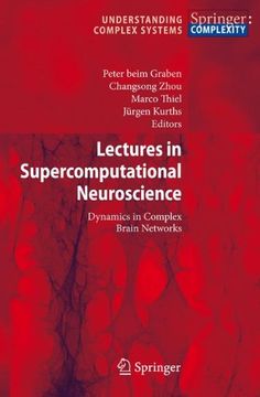 portada Lectures in Supercomputational Neuroscience: Dynamics in Complex Brain Networks (Understanding Complex Systems) (in English)
