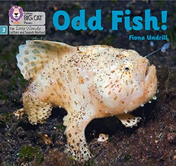 portada Big Cat Phonics for Little Wandle Letters and Sounds Revised - Odd Fish!: Phase 3 (en Inglés)