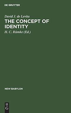 portada The Concept of Identity (New Babylon) (en Inglés)