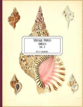 portada Vintage Prints: Shells: Vol. 4 (en Inglés)